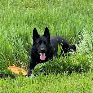 Meet your Posher, Teri